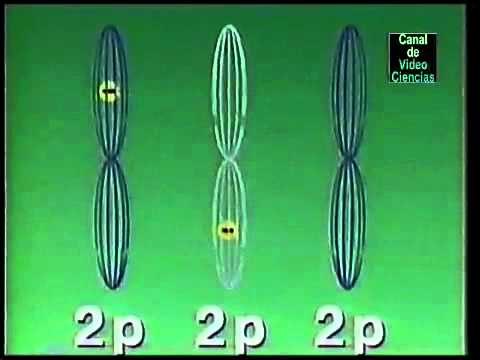 Química Orgánica - La forma del Carbono  2/6 