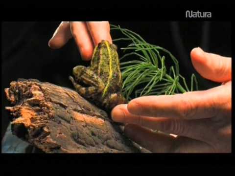 Fotografía salvaje - Documental