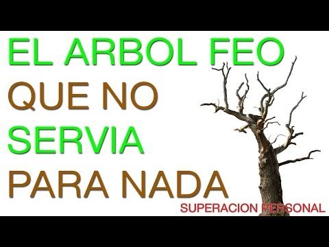 Motivación - Superación Personal y Autoestima 