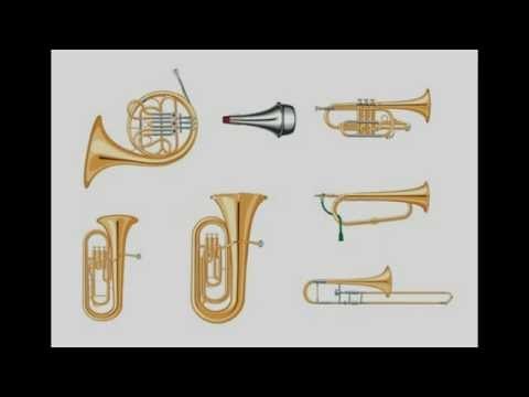 Instrumentos de viento metal