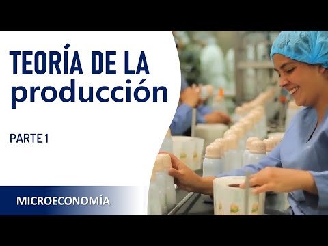 Teoría de la Producción