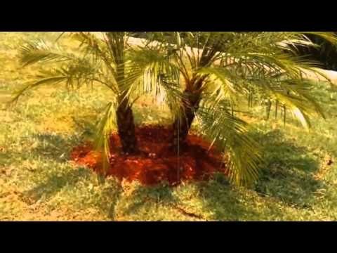 Paisajismo y jardinería - Diseños