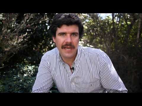 Paisajismo - Jardín en pequeños espacios