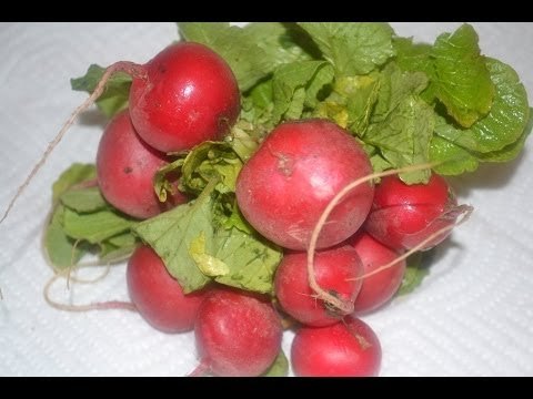 Beneficios de comer rábanos