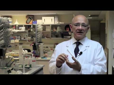 Beneficios del vino para la salud