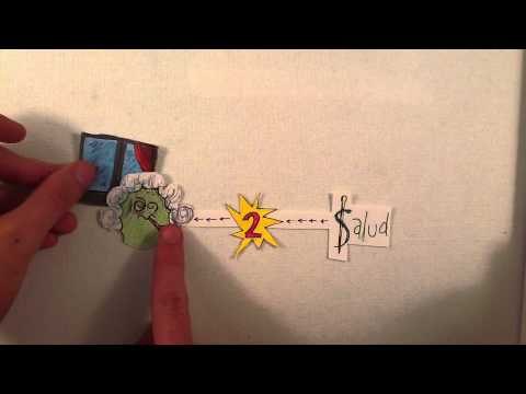 Como cuidar cactus 2/2