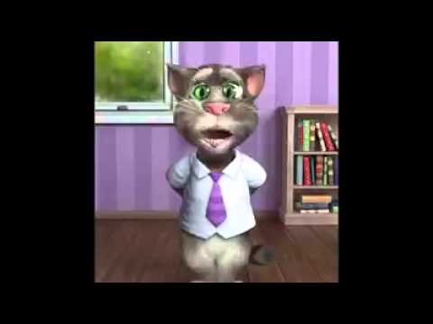 Candy Crush - El gato Tom