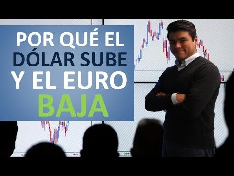Por qué el Euro baja y el Dólar sube?