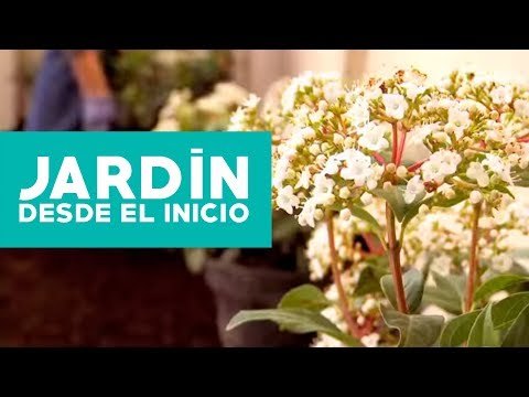 Planificar un jardín desde el inicio