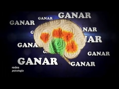 El éxito llama al éxito