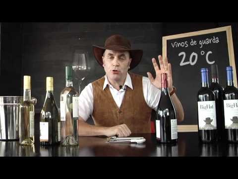 La Temperatura perfecta de un Vino