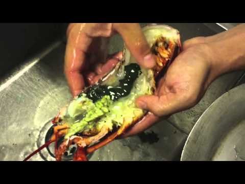Como cocinar Langosta