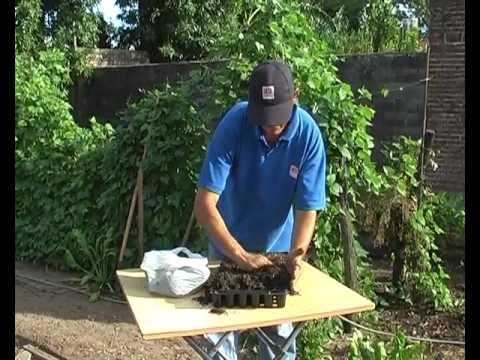 Huerta en otoño invierno 