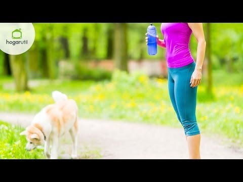 Ponte en forma con tu mascota