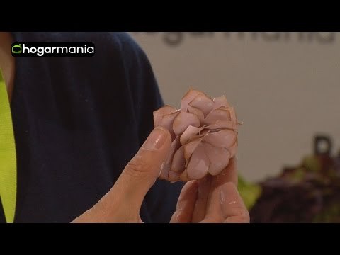 Flores de papel para decorar