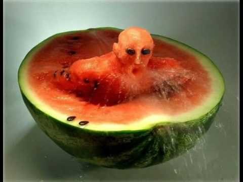 Arte loco en la cocina