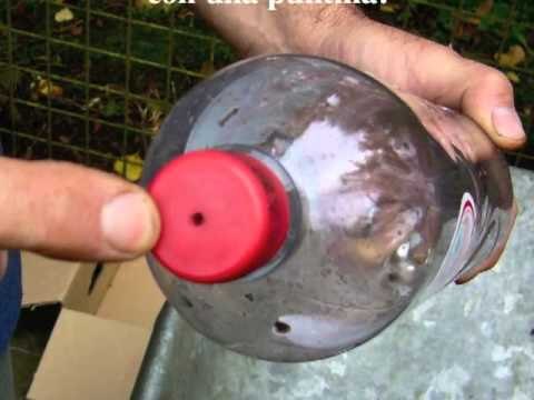 Huerta vertical con botellas de plástico