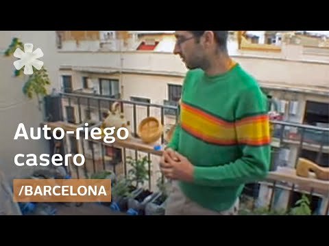 Como hacer un huerto casero con auto-riego