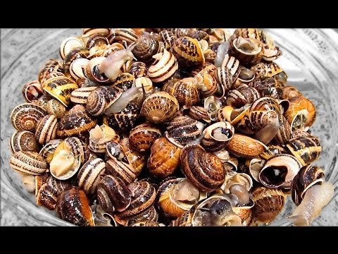 Aprende a limpiar caracoles