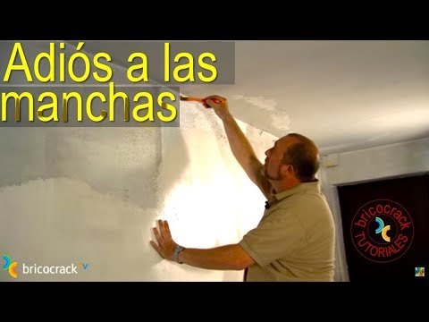 Pintar paredes húmedas y manchadas
