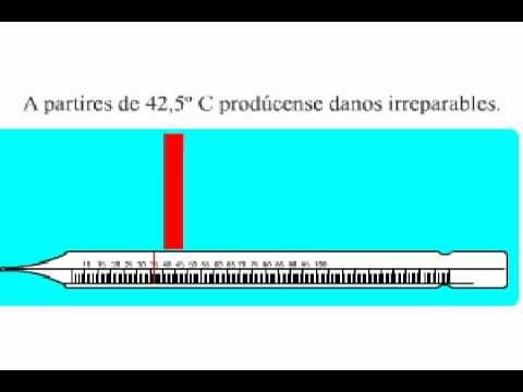 Como tomar la temperatura