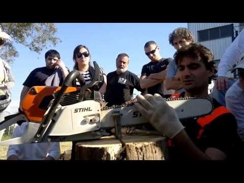 Afilar la cadena de la motosierra