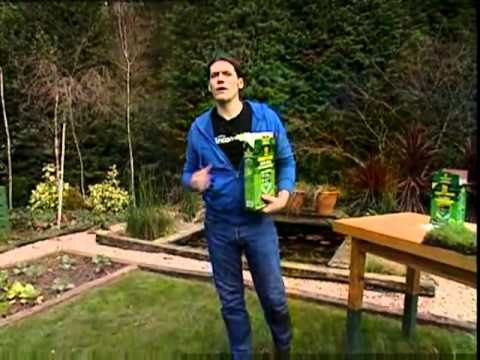 Como abonar el cesped