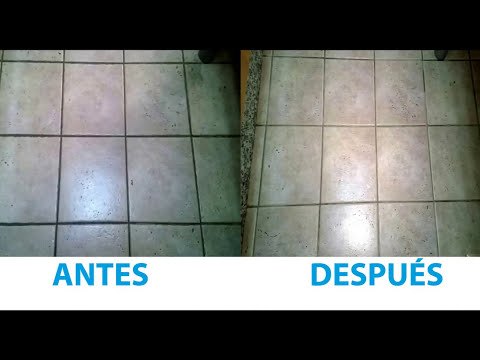 Limpiar las juntas de los azulejos del suelo y paredes