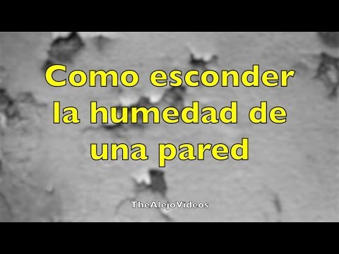 Técnica para esconder la humedad de una pared