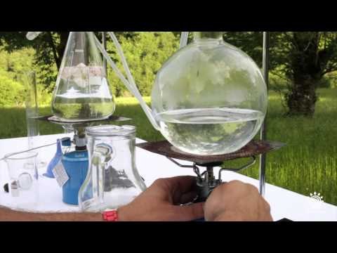 "La alquimia de la salud" - Espagiria