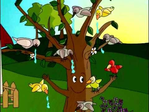 Cuento Infantil - El Viejo Árbol