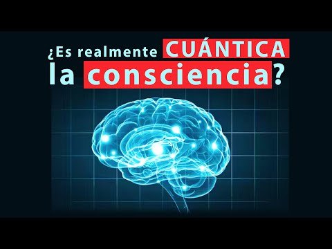 Mecánica cuántica del cerebro
