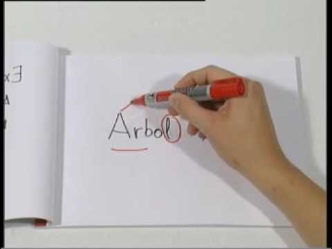 Reglas de acentuación