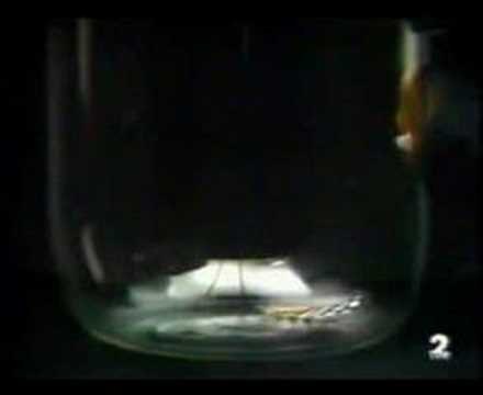 Caída libre en el vacío