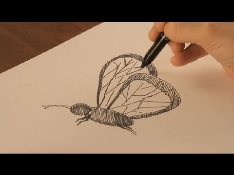 Dibujar mariposas