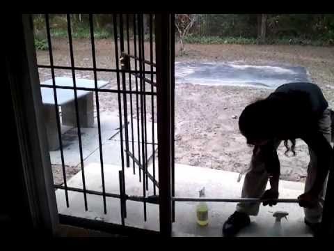 Limpiar vidrios con rejas exteriores