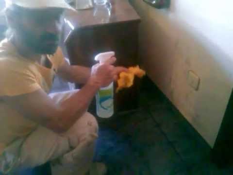 Como eliminar moho
