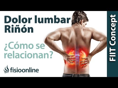 Como se relacionan el riñon y el dolor de espalda
