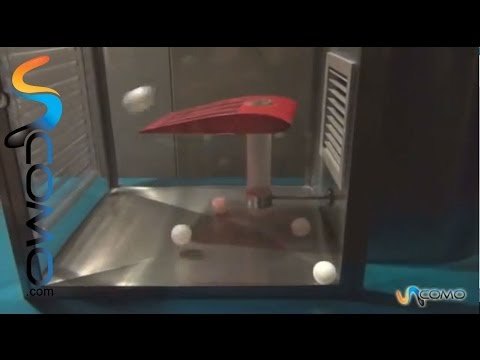 Cómo vuelan los aviones?