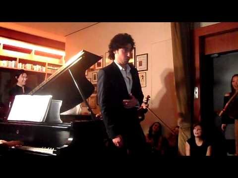 Silvador profesional interpreta a Mozart