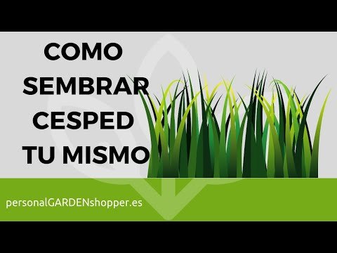 Plantar cesped
