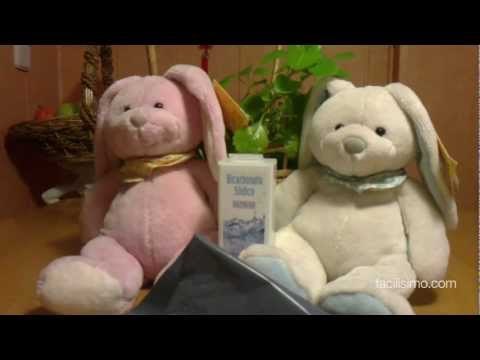 Limpiar y desinfectar un peluche