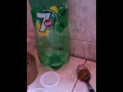 Veneno casero para eliminar hormigas