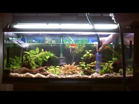 Limpieza de acuarios