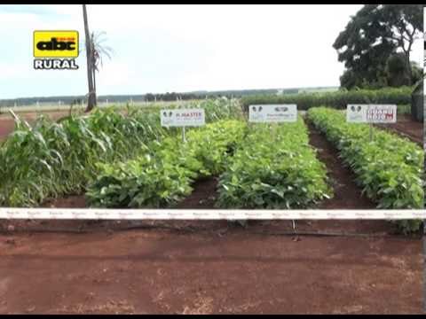 Sistema de riego para pequeños productores