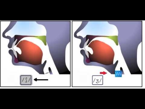 El alfabeto y los sonidos en Esperanto