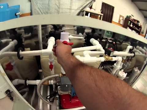 Como purgar el hidroneumático