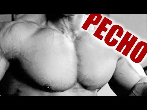 Rutina para desarrollar pecho rápidamente