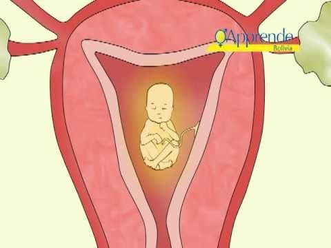 Píldora Anticonceptiva de Emergencia