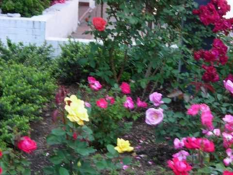 Taller de jardinería